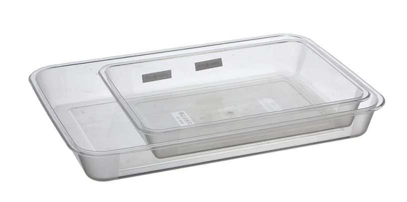 قالب الحيوانات الأليفة8